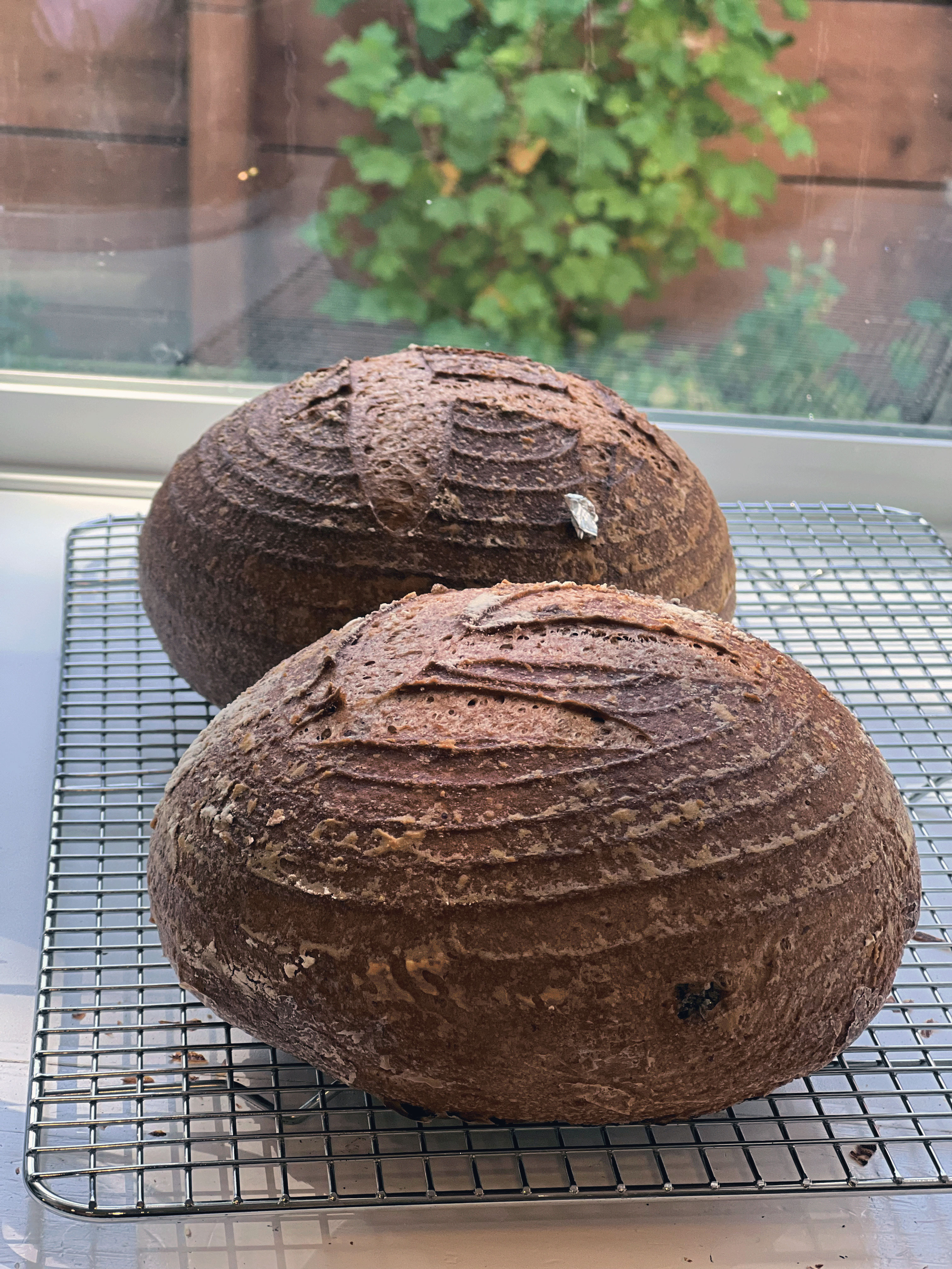 Sourdough